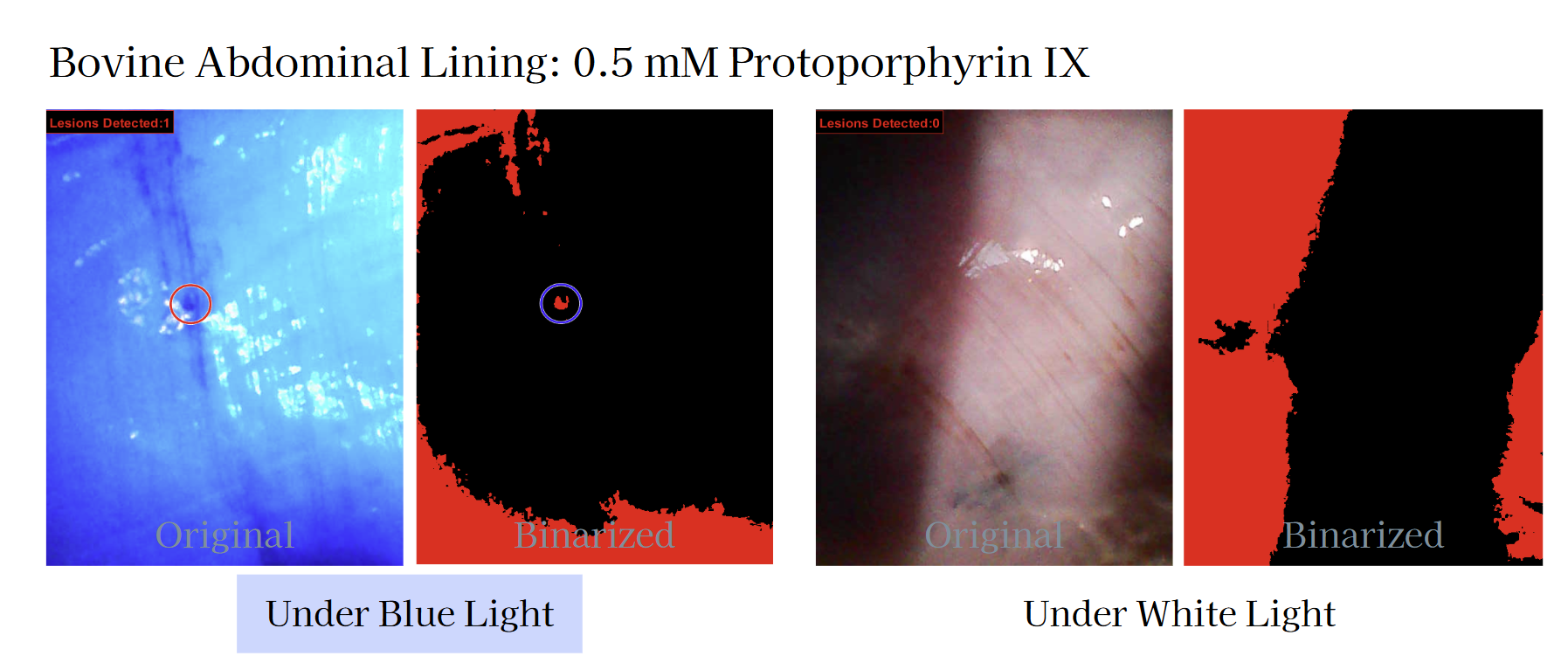 Endoptix Testing Setup