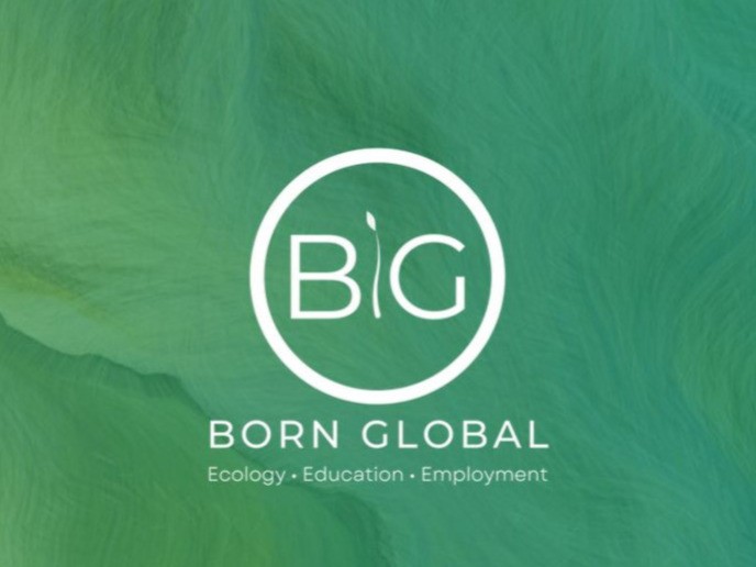 Born Global Internship